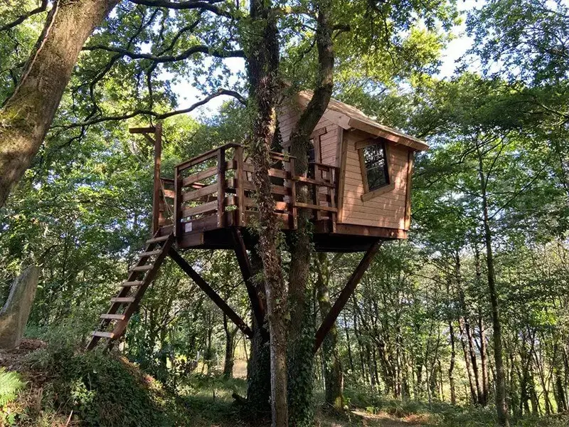 Terrasses et plateformes dans les arbres
