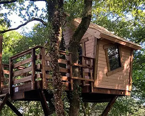 Construction de cabane dans les arbres : l'art du bois perché sur-mesure