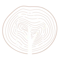 Icône conception